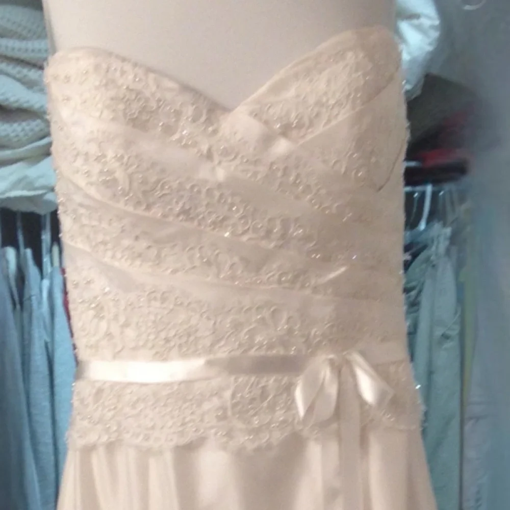 NEW/ NEVER WORN: Paloma Blanca Wedding Dress: style #CA05313 - Picture 4 of 15